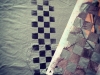 checks1