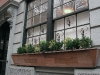 window_owls3