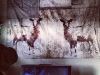tarp_sheep