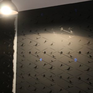 ace_birds4