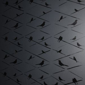 ace_birds5