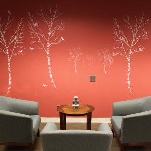 bm_birchtree3