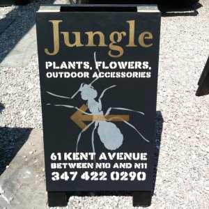 jungle_signage1