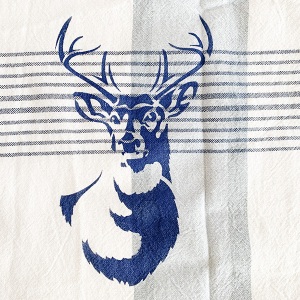 dish_towel_7_800w