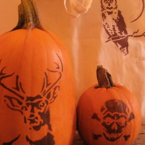 pumpkins-tote