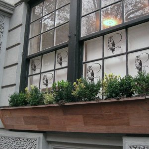 window_owls3