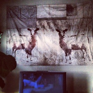 tarp_sheep
