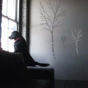 birch_paint3