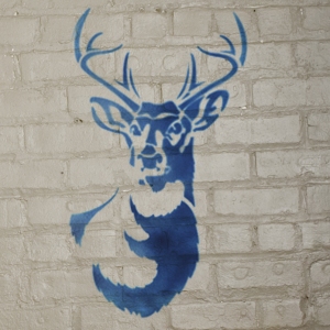 deerwall_step5