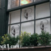 owl stencil on windows