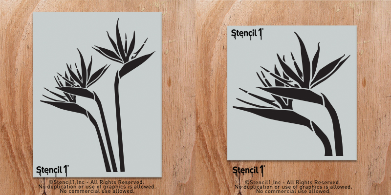 Bird of Paradise combo 800x400