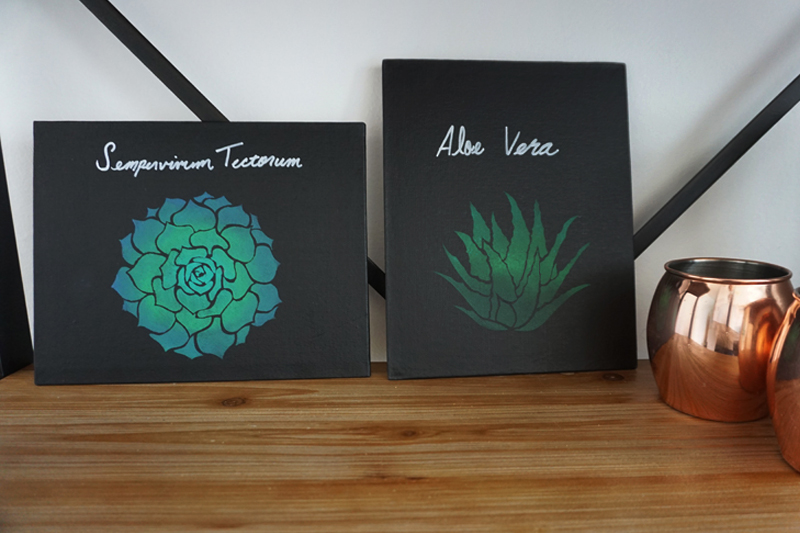Succulent_paintings_blckcnvas_Stencil1_06