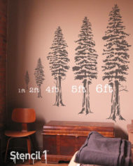 5-redwood_trees-1.jpg