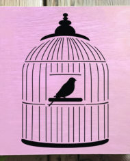 bird_cage-1.jpg
