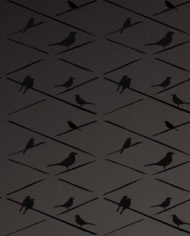 birds_black_black-1.jpg