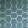 hexagon turquoise sage applied