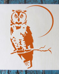 owl-1.jpg