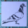 Pigeon Stencil Applied