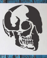 skull_profile-1.jpg