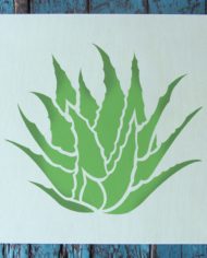 succulent_agave_s1_01_306_s_575x6_applied_stencil1_800px-1.jpg