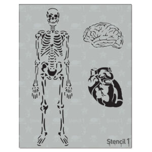 Anatomy Stencil 3 Pack (8.5″ x 11″)